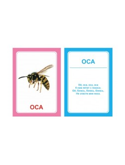 Логопедические картинки для автоматизации звука "С" (комплект 30 шт)