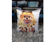Подушка белая
