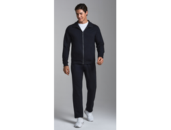 Васильковый