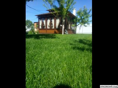 Рулонный газон Эталон