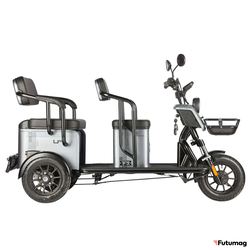 Электротрицикл Wanshida UM+ 60V 1000Вт серый