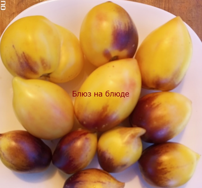 Томат Блюз на блюде (Blues on a Platter)