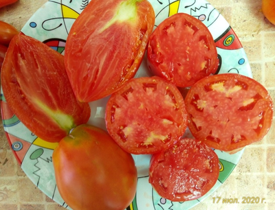 Томат Подсинское чудо