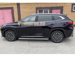 Пороги с накладным листом d53 для Exeed TXL (2021-...)