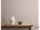 pointe-silk-wall-paint-kraska-dlya-sten-i-potolka_02