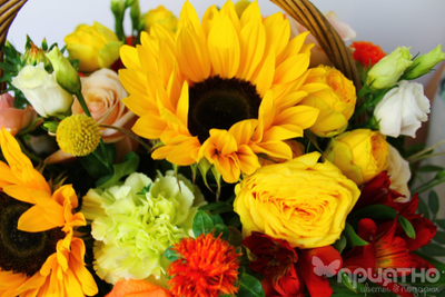 ЦВЕТОЧНАЯ КОМПОЗИЦИЯ № 117