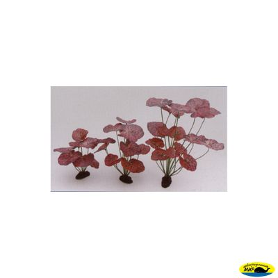 81040R-30 Растение шелк. Нимфея краповое 20см