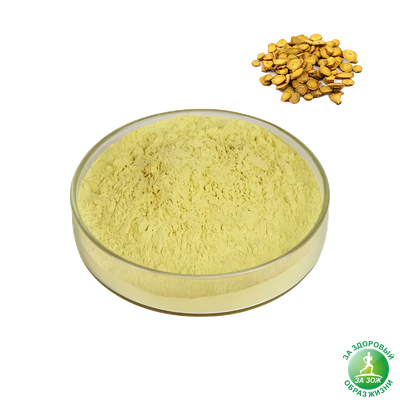 Шлемник байкальский - scutellaria baicalensis, 250гр.