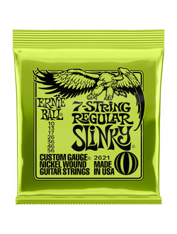 Ernie Ball 2621