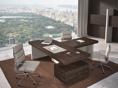 Кабинет руководителя ERA