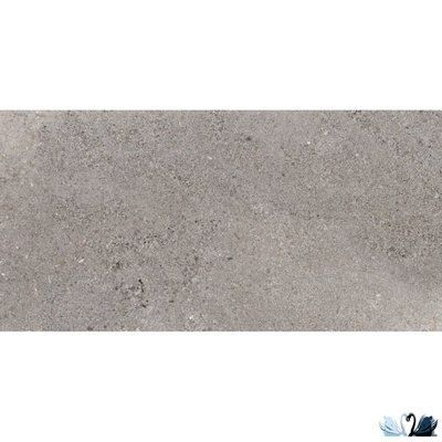 Керамогранит Prime Ceramics Terra Silver 120х60 см