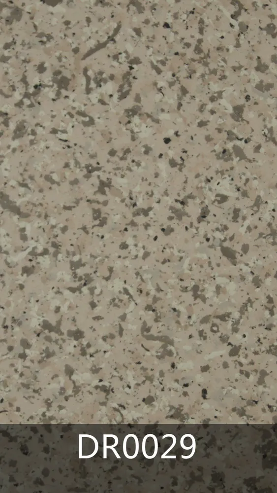 DR0029