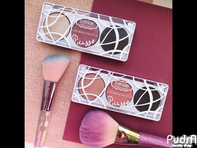 Палетка для лица для стробинга PICASSO ESTRADE. Тон 501 Теплый