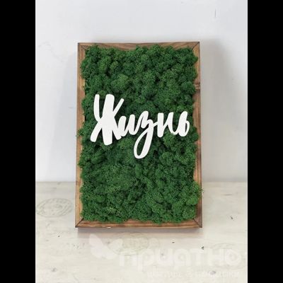 ЖИВАЯ ЭКО-КАРТИНА 1051