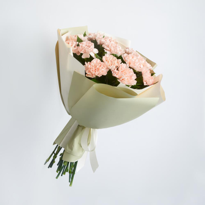 15 кремовых диантусов