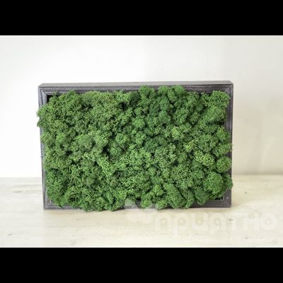 ЖИВАЯ ЭКО-КАРТИНА 1055