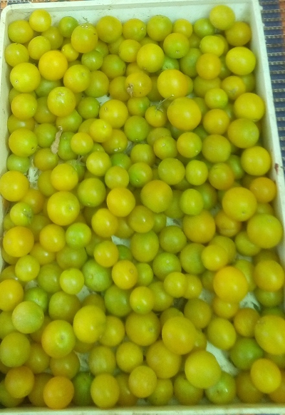 Томат Зеленый виноград (Green Grape)