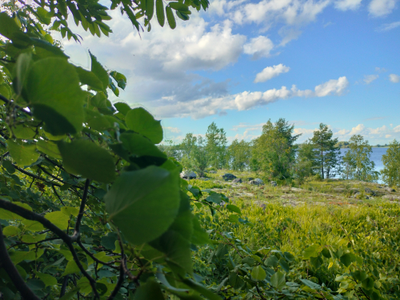 Прогулка на катере «Первозданные леса Заонежья»