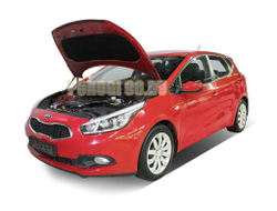 Амортизаторы капота, 2 шт. АвтоУпор для Kia CEED II / II рестайлинг 2012-2015 / 2015-2018