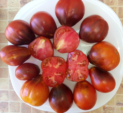 Томат Синяя груша