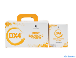 Dx4 Система балансировки тела