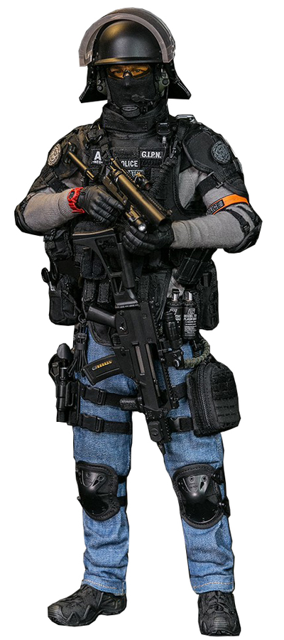 ФРАНЦУЗСКИЙ СПЕЦНАЗОВЕЦ GIPN - КОЛЛЕКЦИОННАЯ ФИГУРКА 1/6 SCALE FRENCH NATIONAL POLICE GIPN IN MARSEILLE (78076) - DAMTOYS