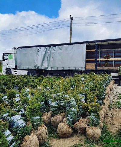 setka-dlya-koma-500-v-moskve-kupit-s-dostavkoy