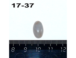 Агат натуральный (кабошон) тиман №17-37: 15*9*5мм