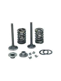 Запчасти ГРМ для мотоциклов