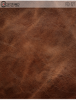 Фотофон виниловый «Бенка»