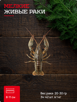 1 категория мелкие живые раки 34-42 шт. в кг