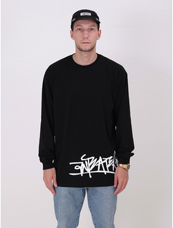 Лонгслив Anteater 090 Черный вид спереди