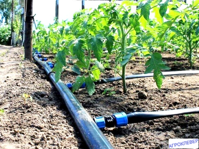 Старт коннектор с  поджимом 12мм х К/Л