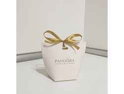 Подарочная упаковка Pandora для шармов, серёжек и колье