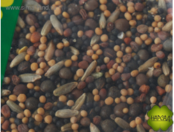 СМЕСЬ СИДЕРАТОВ ПОСЛЕ УБОРКИ УРОЖАЯ 1 КГ