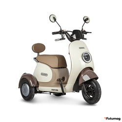 Электротрицикл Rutrike Gelbert Ogma 48V/60V 650Вт бело-коричневый