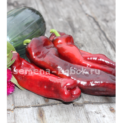 Перец сладкий Marconi Purple (Маркони фиолетовый), 10 шт.