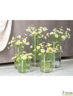 ВАЗЫ ДЛЯ ЦВЕТОВ