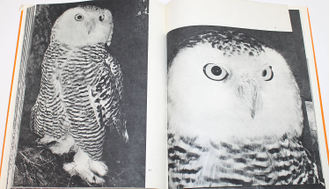 Пухальский В. Птицы дальних стран. Варшава: Спорт и туризм. б.г.