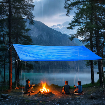 Тент Тарпаулин 5x6м , 70 г/м2 , шаг люверсов 1 м садовый защитный укрывной купить в Москве