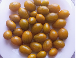 Томат черри Янтарные клавиши (Amber Keyes), США