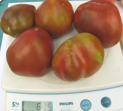 Томат Заржавевшее сердце Эверета (Everett's Rusty Oxheart)