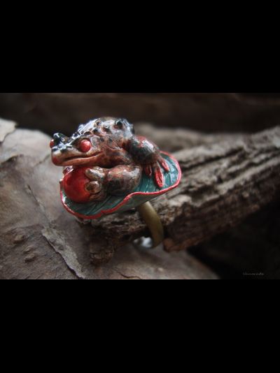 Фэнтезийное кольцо с опалом "Принц-лягушка Восточного Королевства"