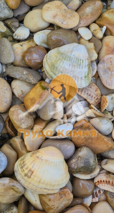 Морской Микс желтоватый