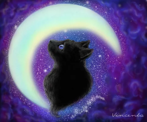 "Лунный кот", Legenda Vincento