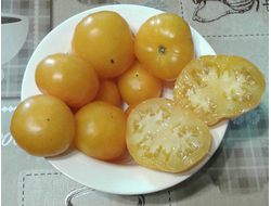 Семена томата Аксанта