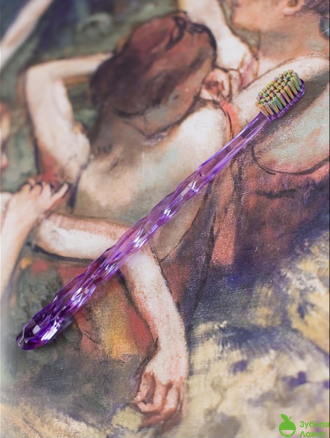 ЗУБНЫЕ КИСТИ MONTCAROTTE EDGAR DEGAS TOOTHBRUSH IMPRESSION