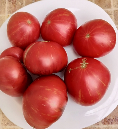 Томат Буйная красотка (Lovely lush,  Прекрасный пышный)