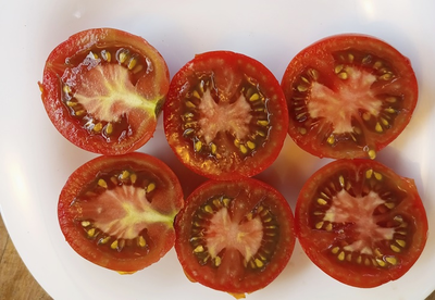 Томат Гном Бандаберг Рамболл (Dwarf Bundaberg Rumball)