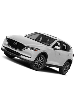 Парктроник на 8 датчиков с выводом на ШГУ